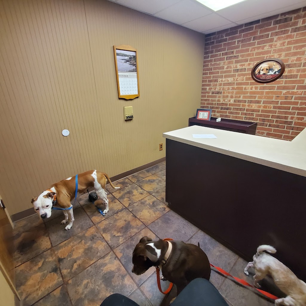 Denton Animal Hospital | 1705 W University Dr, Denton, TX 76201 | Phone: (940) 382-2134