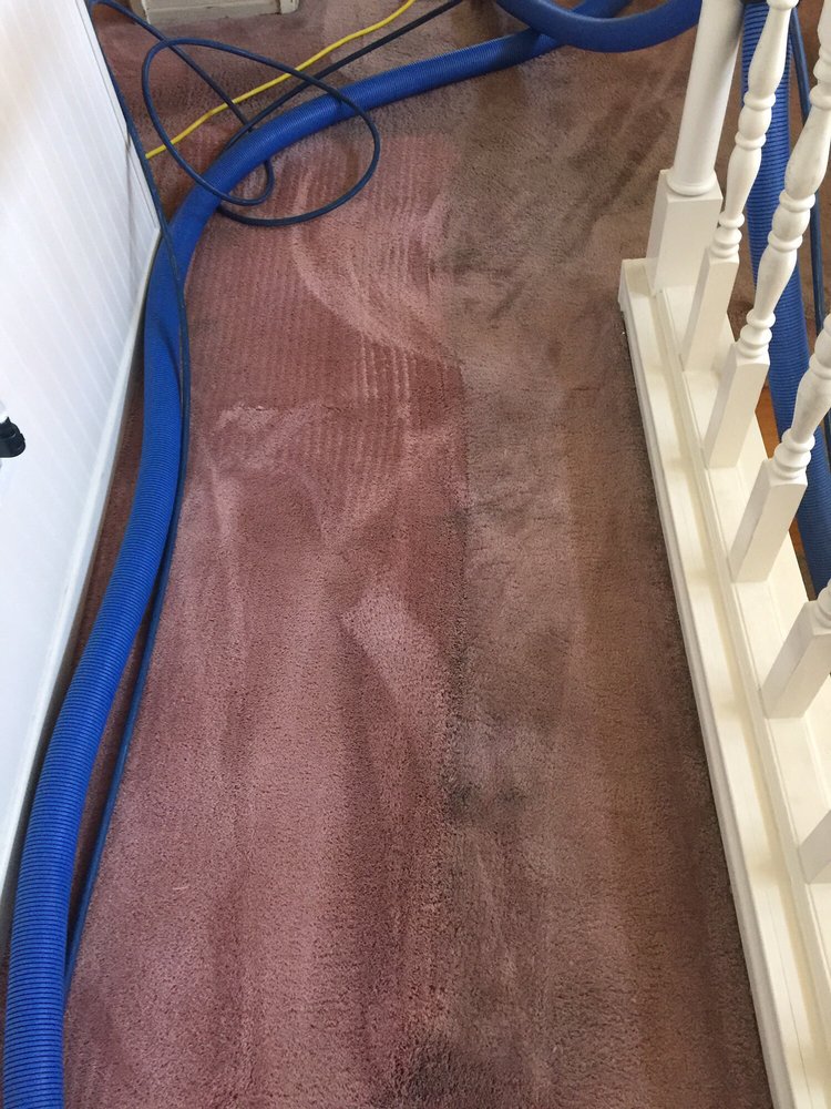 La Canada Carpet Cleaning | 4551 Castle Rd, La Cañada Flintridge, CA 91011, USA | Phone: (818) 790-2621