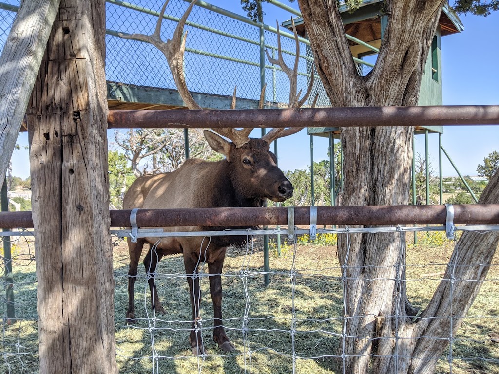 Wildlife West Nature Park | 87 N Frontage Rd, Edgewood, NM 87015 | Phone: (505) 281-7655