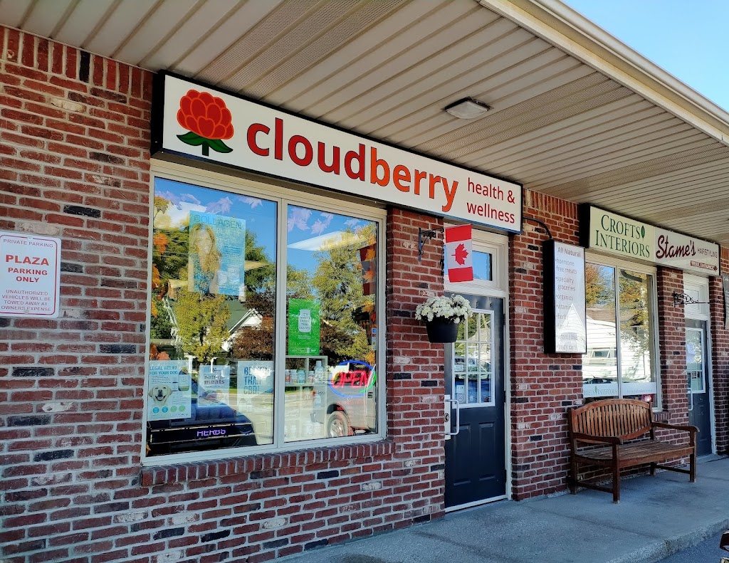 Cloudberry Health and Wellness | 3916 Victoria Ave, Vineland, ON L0R 2C0, Canada | Phone: (905) 562-3632