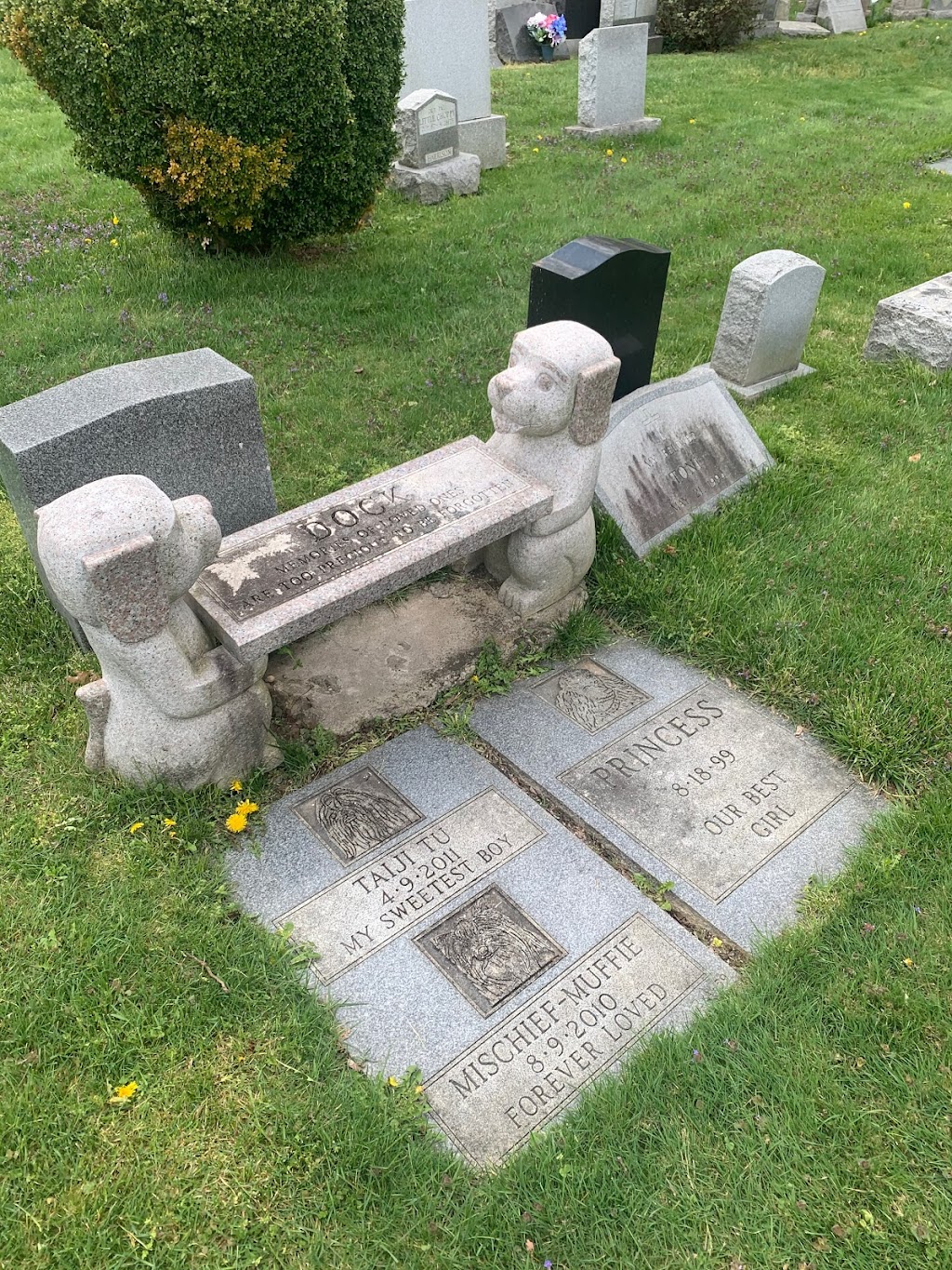 Bideawee Pet Memorial Park | 3300 Beltagh Ave, Wantagh, NY 11793, USA | Phone: (866) 262-8133
