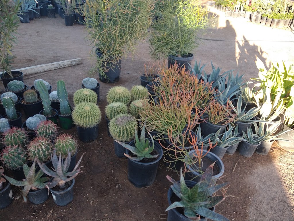 Espinozas Landscaping | 10756 E Adamsville Rd, Florence, AZ 85132, USA | Phone: (520) 251-1498