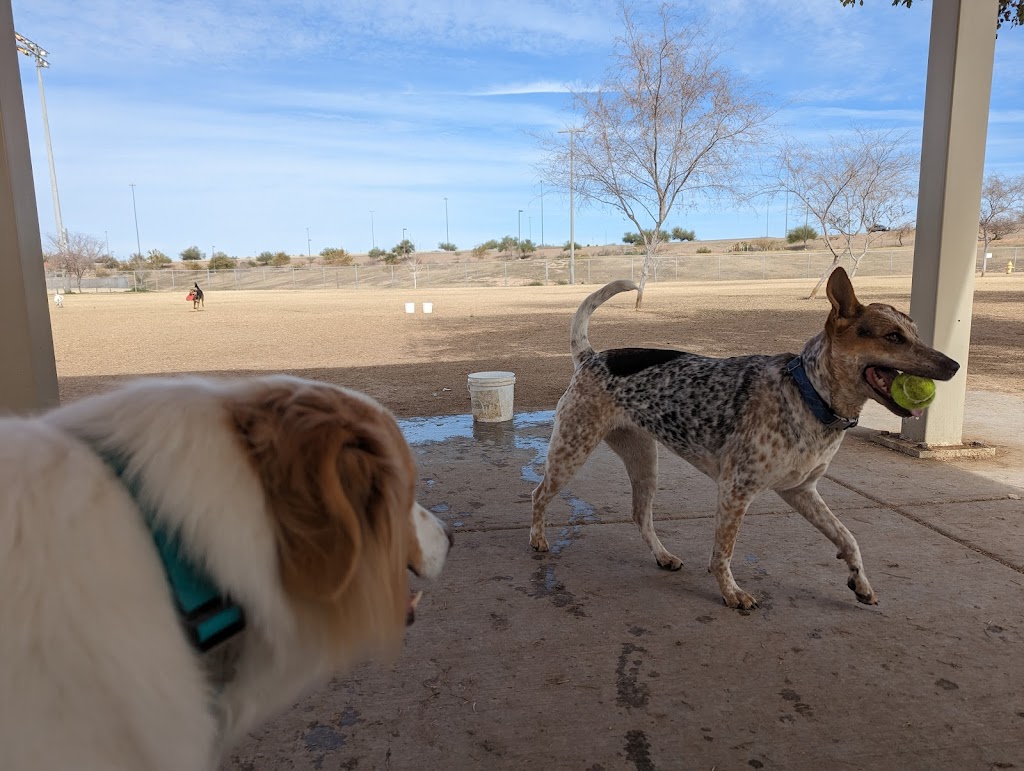 RJ Dog Park at Pecos Park | 17010 S 48th St, Phoenix, AZ 85048, USA | Phone: (602) 534-5252