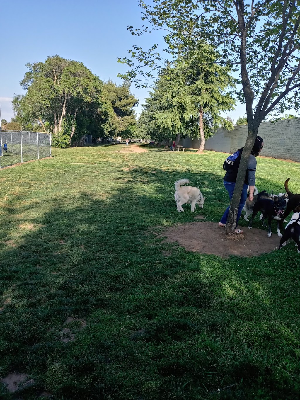 Glenbrook Large Dog Park | 8500 La Riviera Dr, Sacramento, CA 95826, USA | Phone: (916) 277-6093