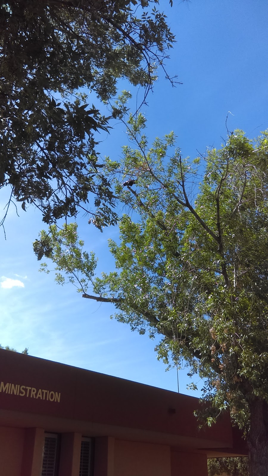 Palmcroft Church Phoenix | 15825 N 35th Ave, Phoenix, AZ 85053, USA | Phone: (602) 863-0945