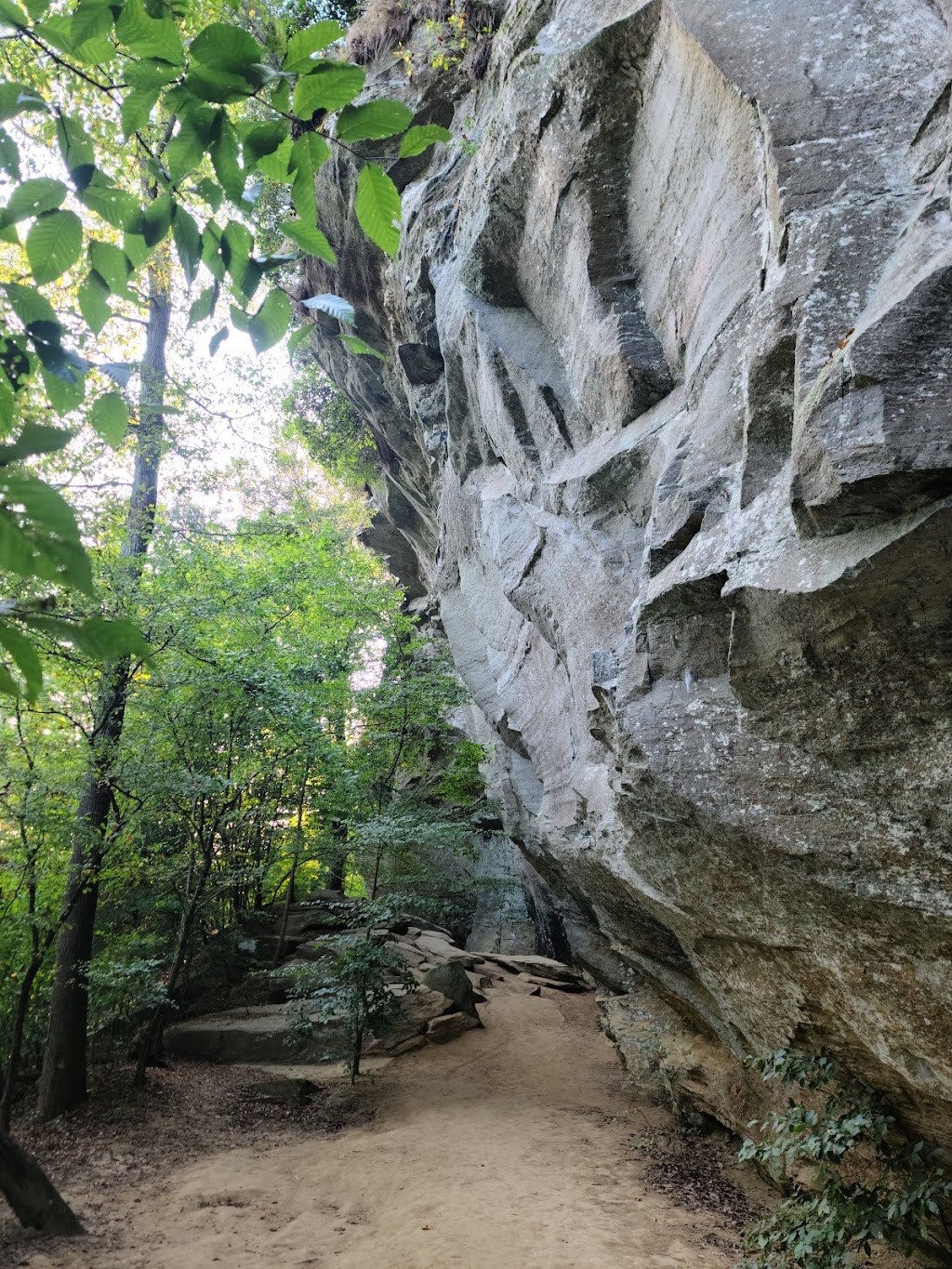 Raven Rock State Park | 3009 Raven Rock Rd, Lillington, NC 27546 | Phone: (910) 893-4888