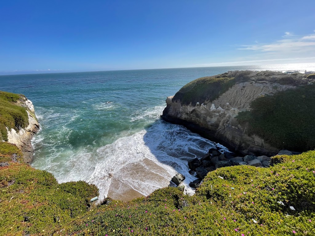 Natural Bridges State Beach | 2531 W Cliff Dr, Santa Cruz, CA 95060, USA | Phone: (831) 423-4609