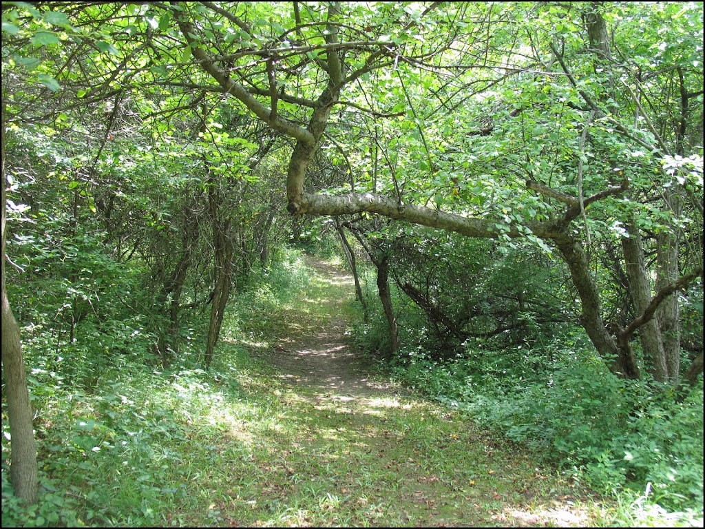 Ropchan Wildlife Refuge - ACRES Land Trust | 4990 N, IN-827, Fremont, IN 46737, USA | Phone: (260) 637-2273