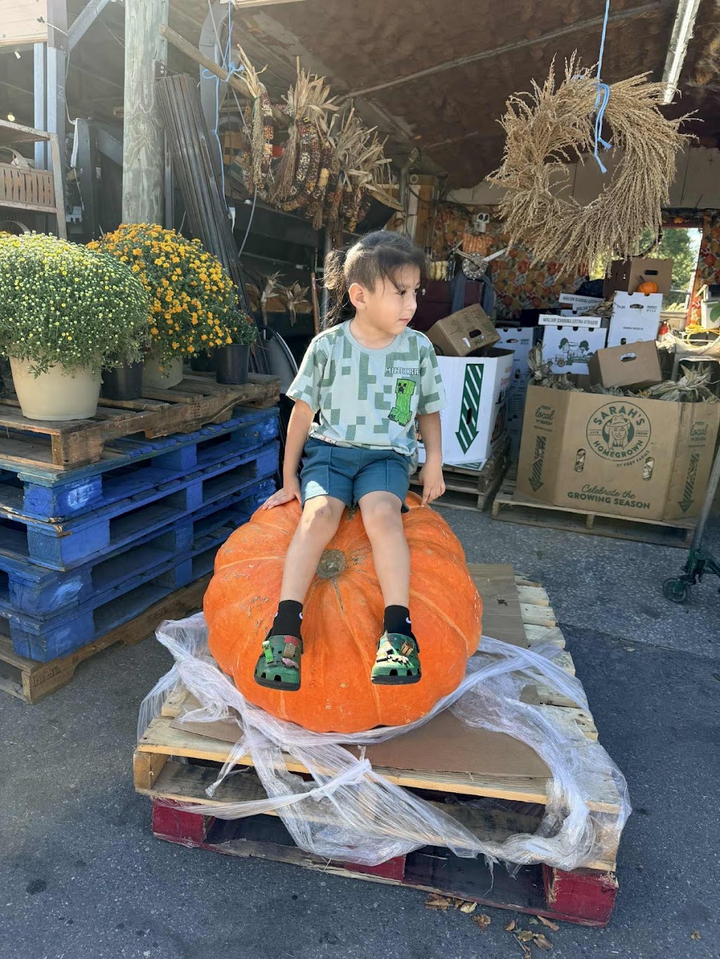 C.F. Produce Inc | 708 W Sam Allen Rd, Plant City, FL 33565, USA | Phone: (813) 659-3011