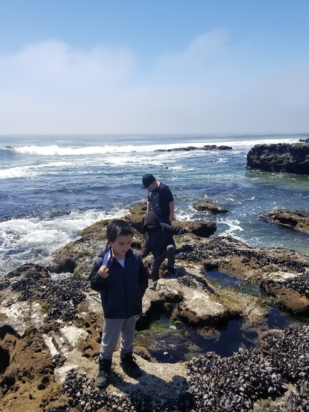 Natural Bridges Tidepools | Santa Cruz, CA 95060, USA | Phone: (831) 423-4609