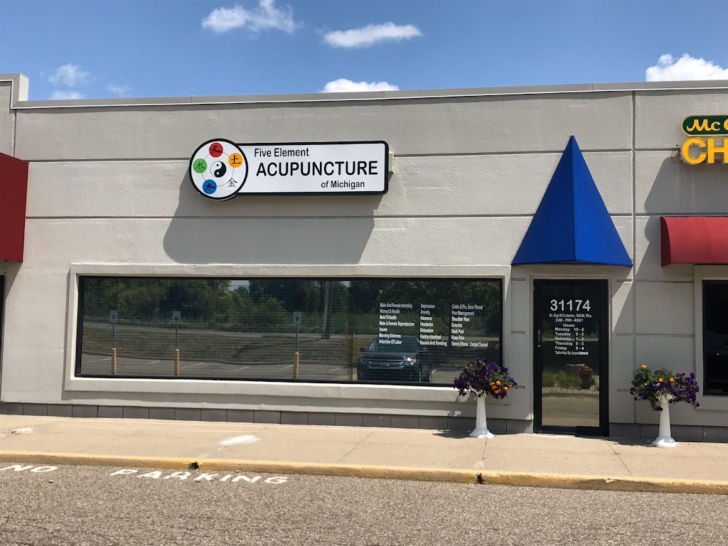 Five Element Acupuncture of MI | 1904 Meadow Ridge Dr, Commerce Charter Twp, MI 48390 | Phone: (248) 790-4061