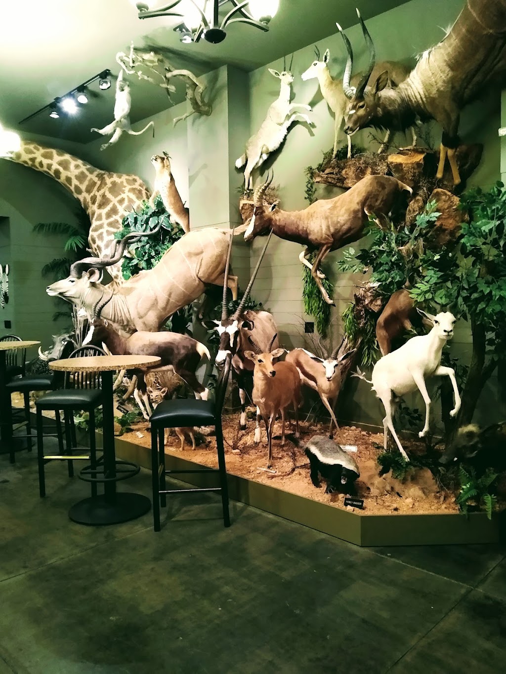 Wendel Museum of Animal Conservation | 8303 SE Evergreen Hwy, Vancouver, WA 98664, USA | Phone: (360) 241-9646