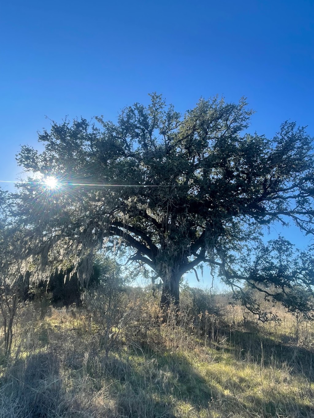 Purgatory Creek Natural Area | 2102 Hunter Road, San Marcos, TX 78666, USA | Phone: (512) 393-8400