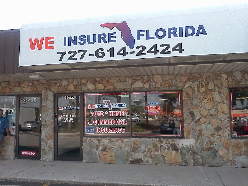 We Insure Oldsmar - Edison Debarros | 501 St Petersburg Dr E A, Oldsmar, FL 34677, USA | Phone: (727) 614-2424