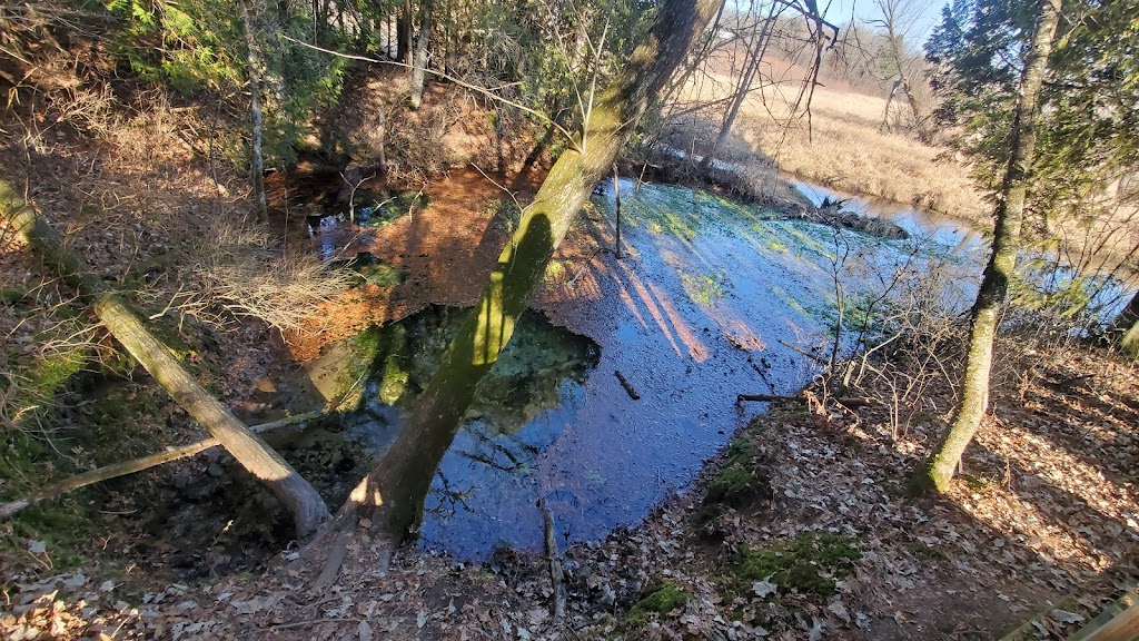 Mount Vernon Creek Fishery & Wildlife Area Access | 1815 WI-92 Trunk, Mt Horeb, WI 53572, USA | Phone: (608) 224-3730