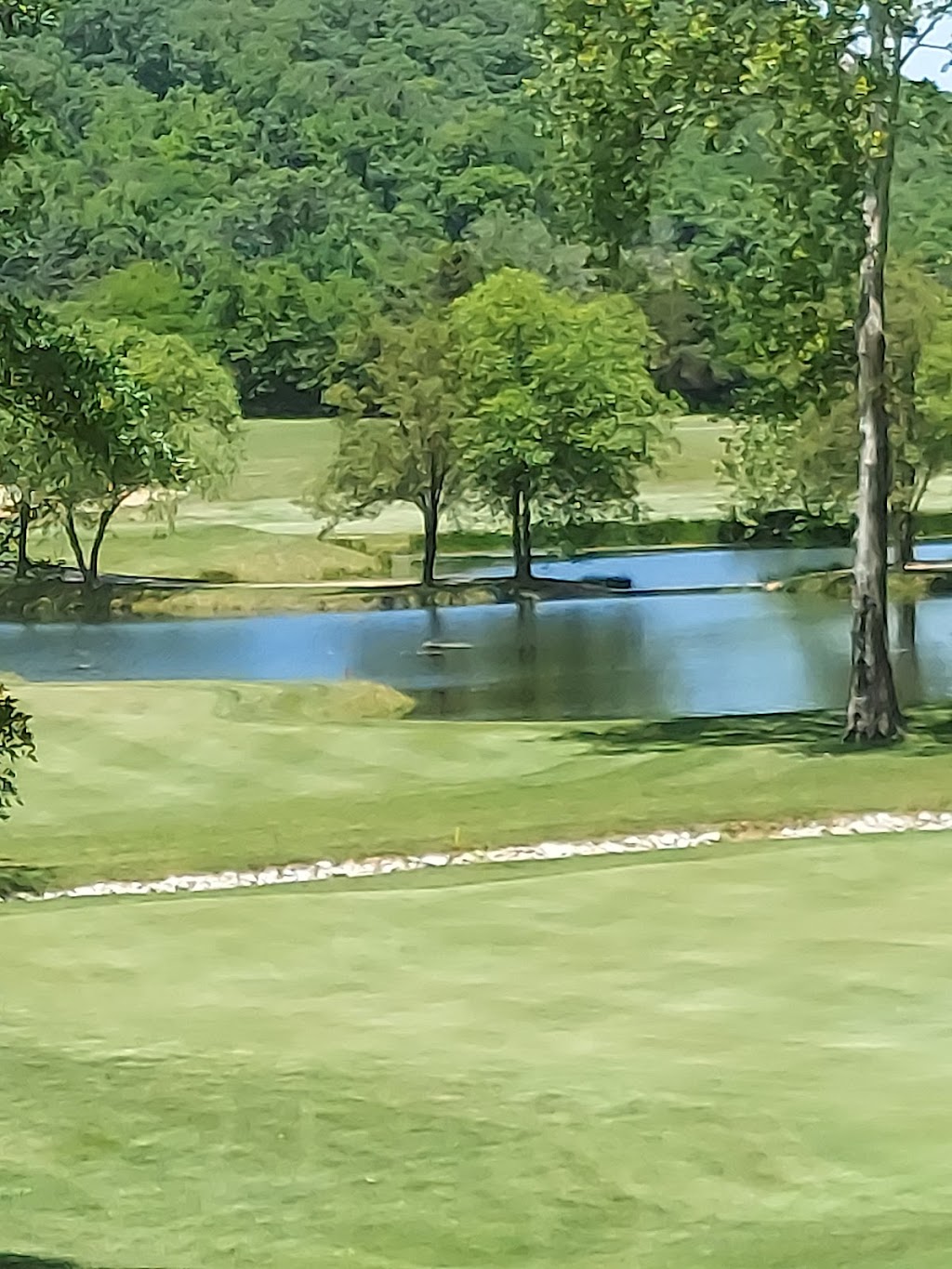 Fox Run Golf Club | 3510 State Rd W, Eureka, MO 63025, USA | Phone: (636) 938-4653