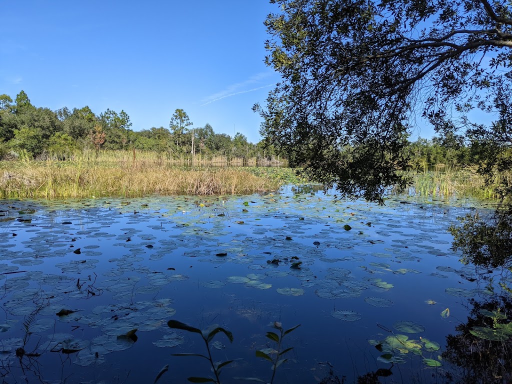 Hidden Pond Preserve | 20501 FL-520, Orlando, FL 32833, USA | Phone: (407) 836-1400