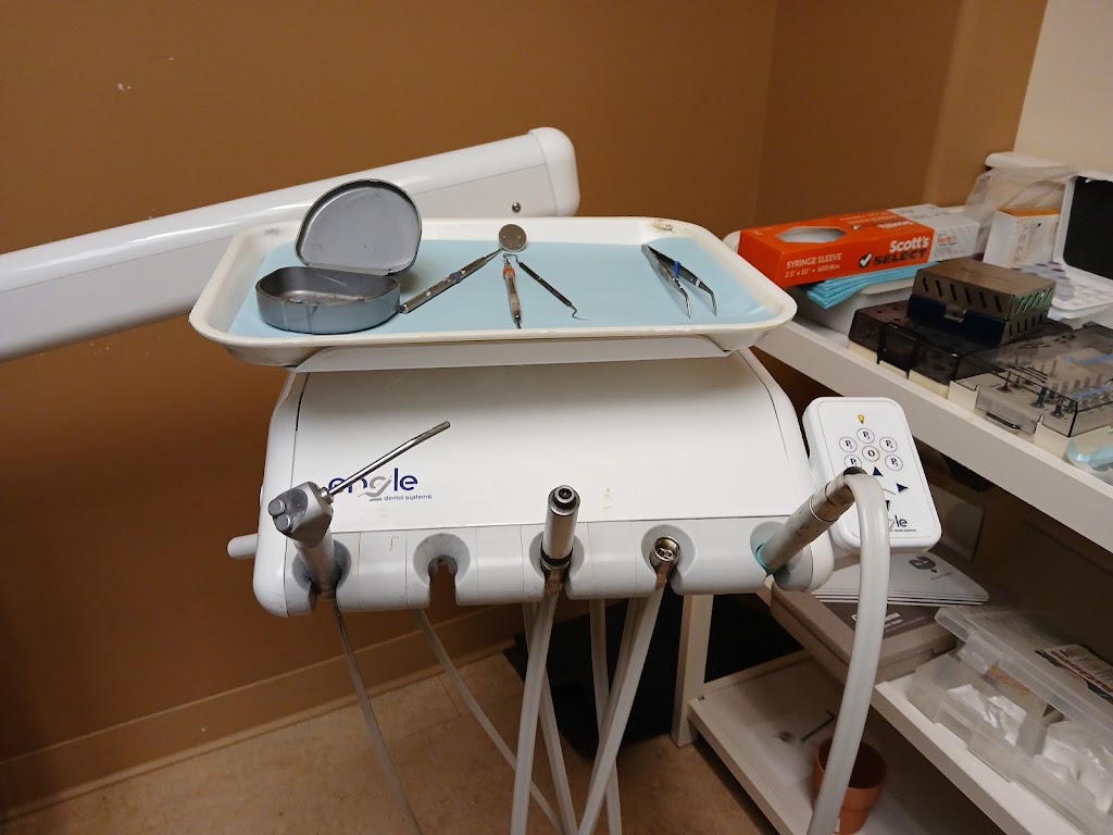 Dr. Alan M. Munk, DDS | 7723 24th Ave NW, Seattle, WA 98117, USA | Phone: (206) 782-3060