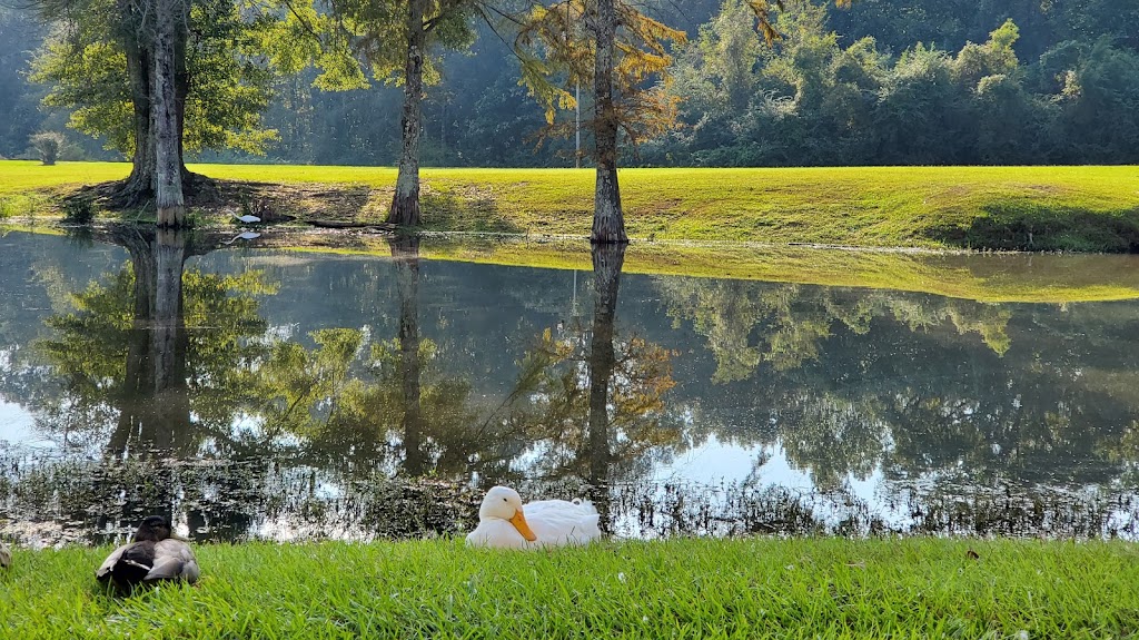 West Feliciana Parish Government | 5934 Commerce St, St Francisville, LA 70775, USA | Phone: (225) 635-3864