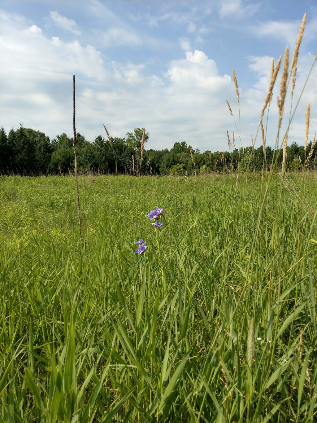 Doar Prairie Savana | New Richmond, WI 54017, USA | Phone: (715) 243-0440