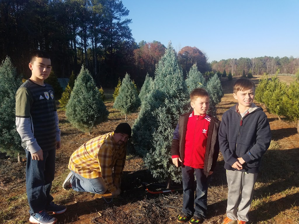 Browns Christmas Tree Farm | 86 Minter Dr, Hampton, GA 30228, USA | Phone: (770) 946-9163