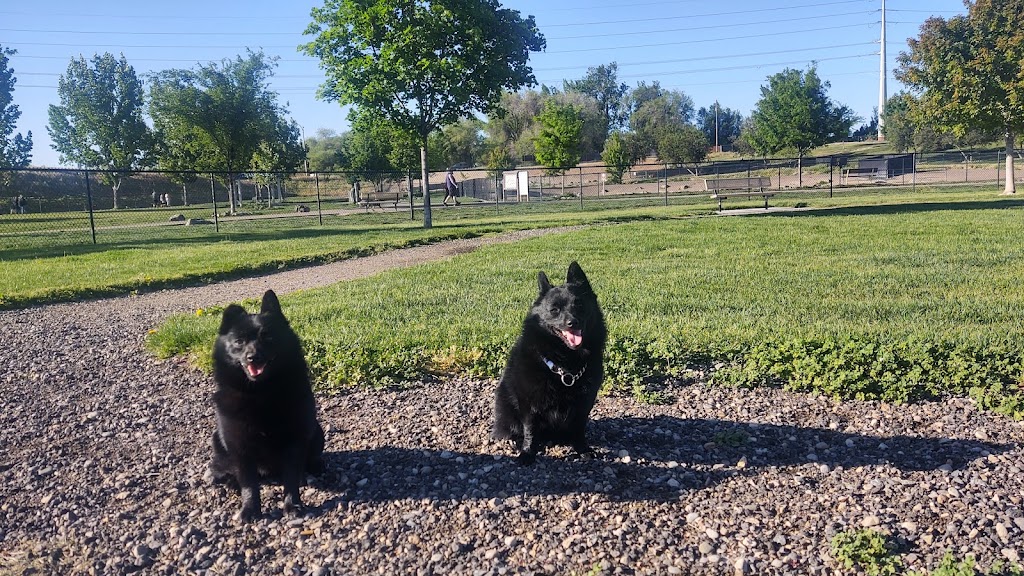 Amity Dog Park | 2900 2nd St S, Nampa, ID 83686 | Phone: (208) 468-5858