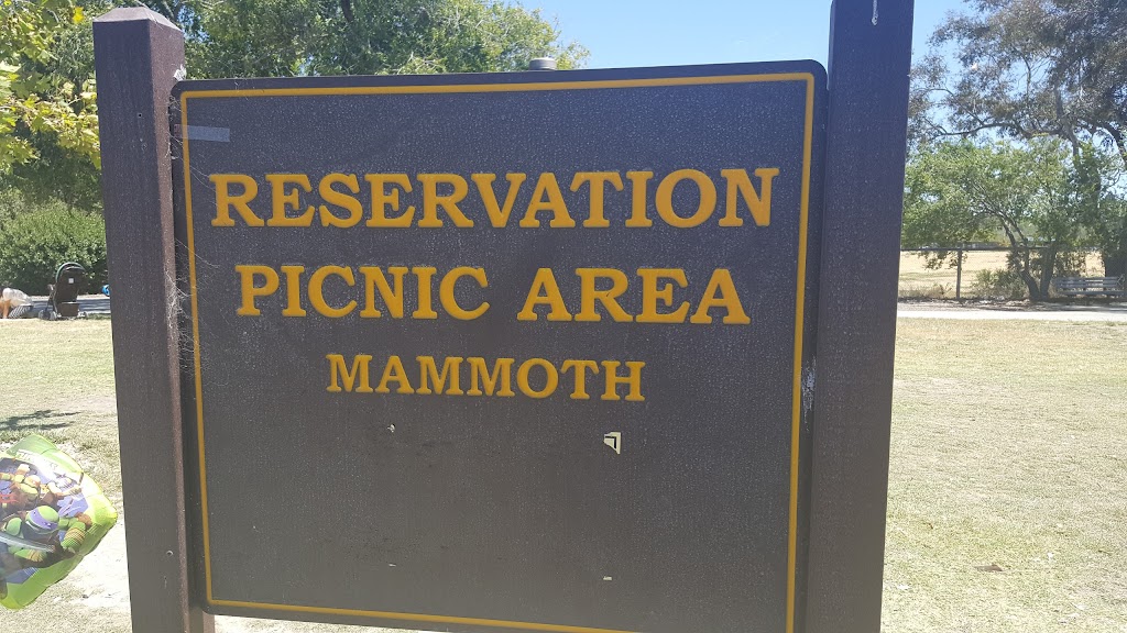 Mammoth Picnic Area | 40000 Paseo Padre Pkwy, Fremont, CA 94538 | Phone: (510) 790-5541