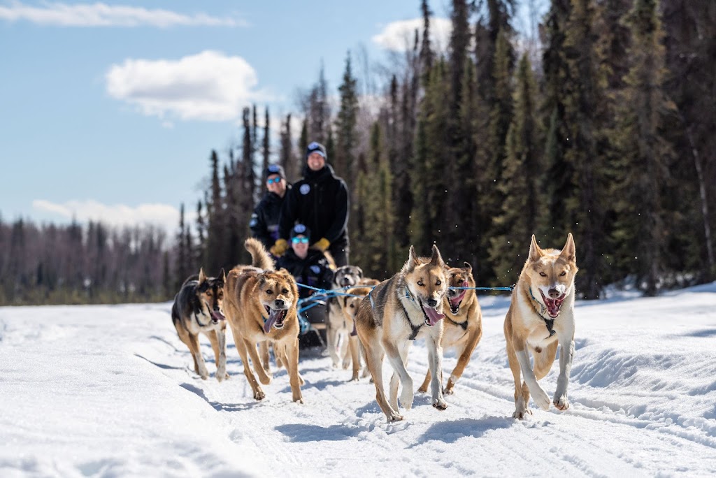 Alaskan Husky Adventures | 18408 W Reynolds Rd, Willow, AK 99688, USA | Phone: (907) 744-8211