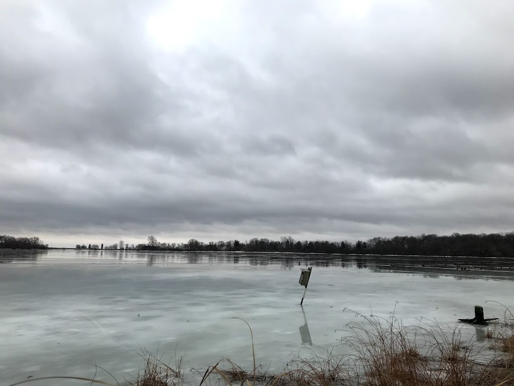 Patrick Marsh Wildlife Area | Stein Rd, Sun Prairie, WI 53590 | Phone: (608) 258-9797