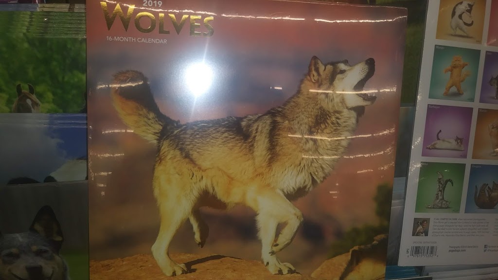 Sunset Co-Op Nursery School | 60 Sunset Rd, Pompton Plains, NJ 07444, USA | Phone: (973) 835-6796