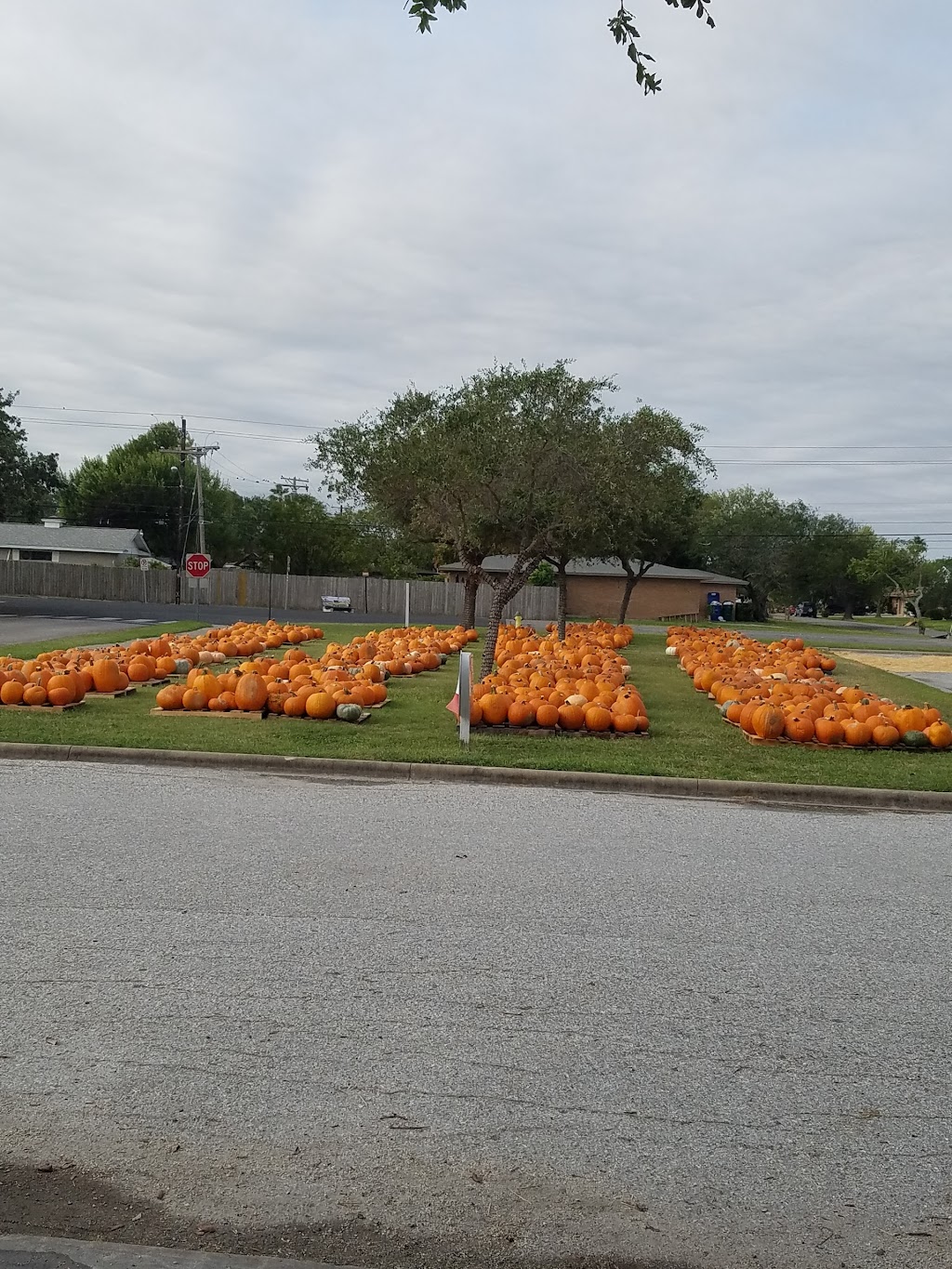 St Johns United Methodist Church | 5300 S Alameda St, Corpus Christi, TX 78412, USA | Phone: (361) 991-4342