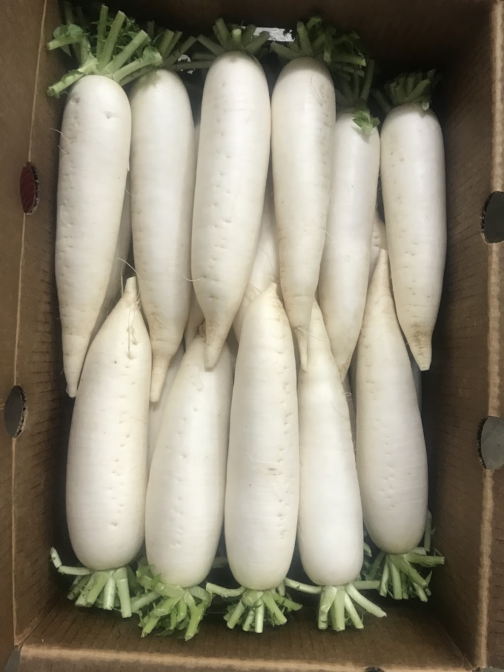 Long Produce | 7766 Industry Ave, Pico Rivera, CA 90660, USA | Phone: (323) 582-0111