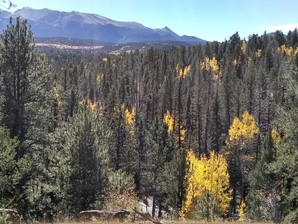 Lower Trout Creek Trailhead | 3683 Trout Creek Rd, Woodland Park, CO 80863, USA | Phone: (719) 636-1602