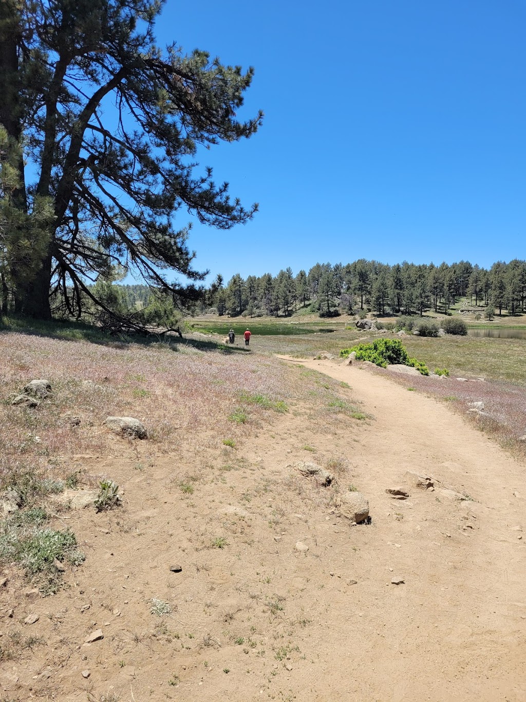 El Prado Group Campground - Big Sage | Laguna Meadow Rd, Mt Laguna, CA 91948, USA | Phone: (877) 444-6777