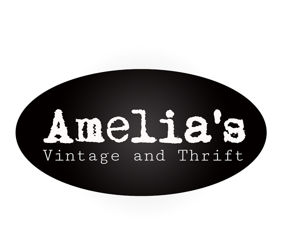 Amelias Vintage and Thrift | 9058 OH-14, Streetsboro, OH 44241, USA | Phone: (330) 474-7200