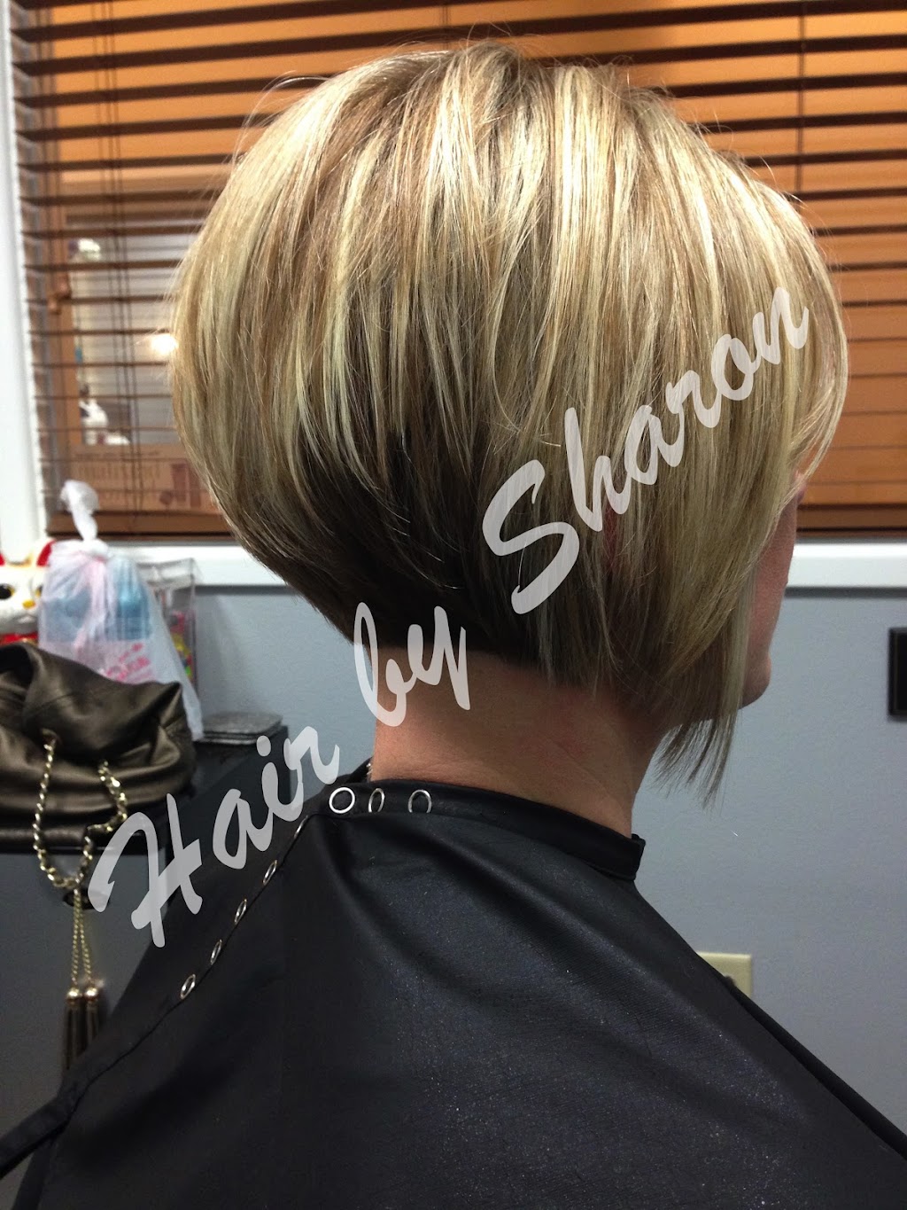 Hair by Sharon @ Lewisville Salon Suite & Spa | 420 E Round Grove Rd #200, Lewisville, TX 75067, USA | Phone: (808) 741-8565