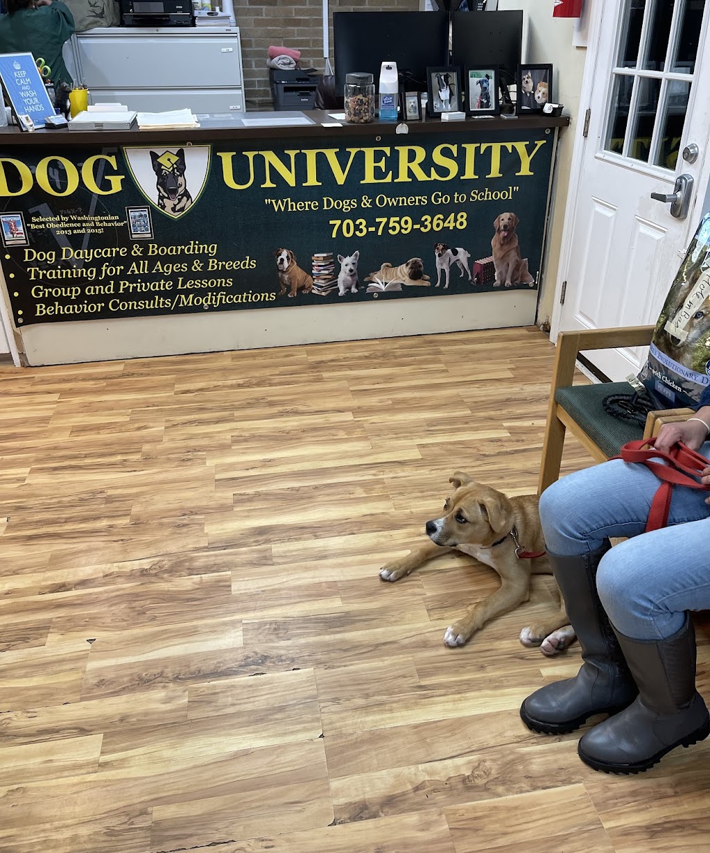 Dog University | 1203 Downey Dr, Vienna, VA 22182 | Phone: (703) 759-3648