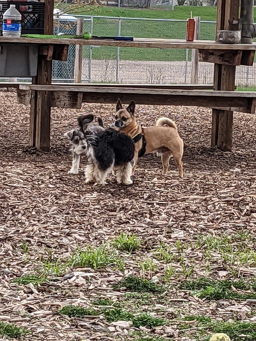 Stillwater MN Dog Park | 1900 Myrtle St W, Stillwater, MN 55082, USA | Phone: (651) 439-6688