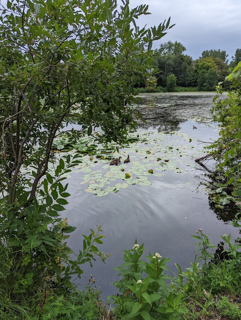 Epiphany Pond Park | 1475 106th Ave NW, Coon Rapids, MN 55433, USA | Phone: (763) 755-2880