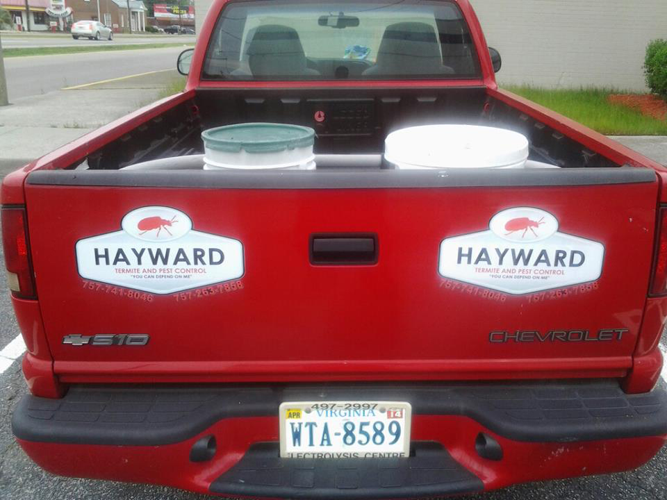 Hayward Termite And Pest Control | 8422 Tidewater Dr, Norfolk, VA 23518 | Phone: (757) 263-7858