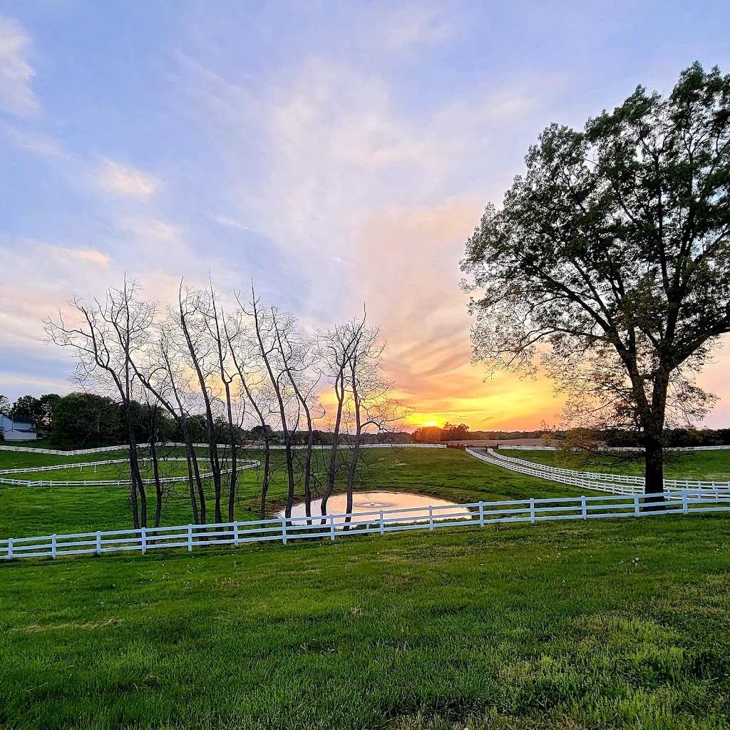 Sunset Stables | 1251 Rosson Rd, Adams, TN 37010, USA | Phone: (931) 494-7792