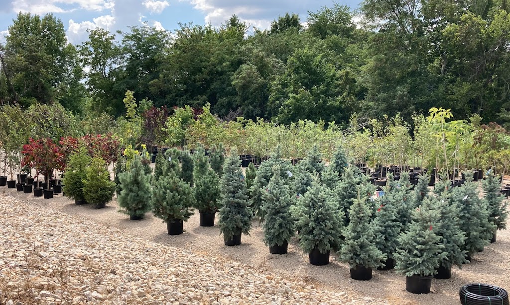 Ben’s Nursery & Landscape Supply | 4756 Hwy Y, Valles Mines, MO 63087, USA | Phone: (573) 315-7047