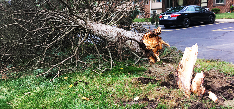 David I. Steinberg Law Group, LLC | 7700 Old Branch Ave # B105, Clinton, MD 20735, USA | Phone: (301) 632-9800