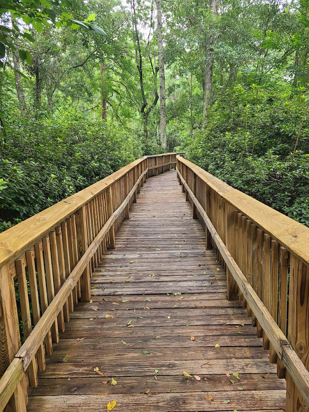 St. Tammany Trace Parish Paved Bike Trailhead | 2289 Gause Blvd W, Slidell, LA 70460, USA | Phone: (985) 781-1229