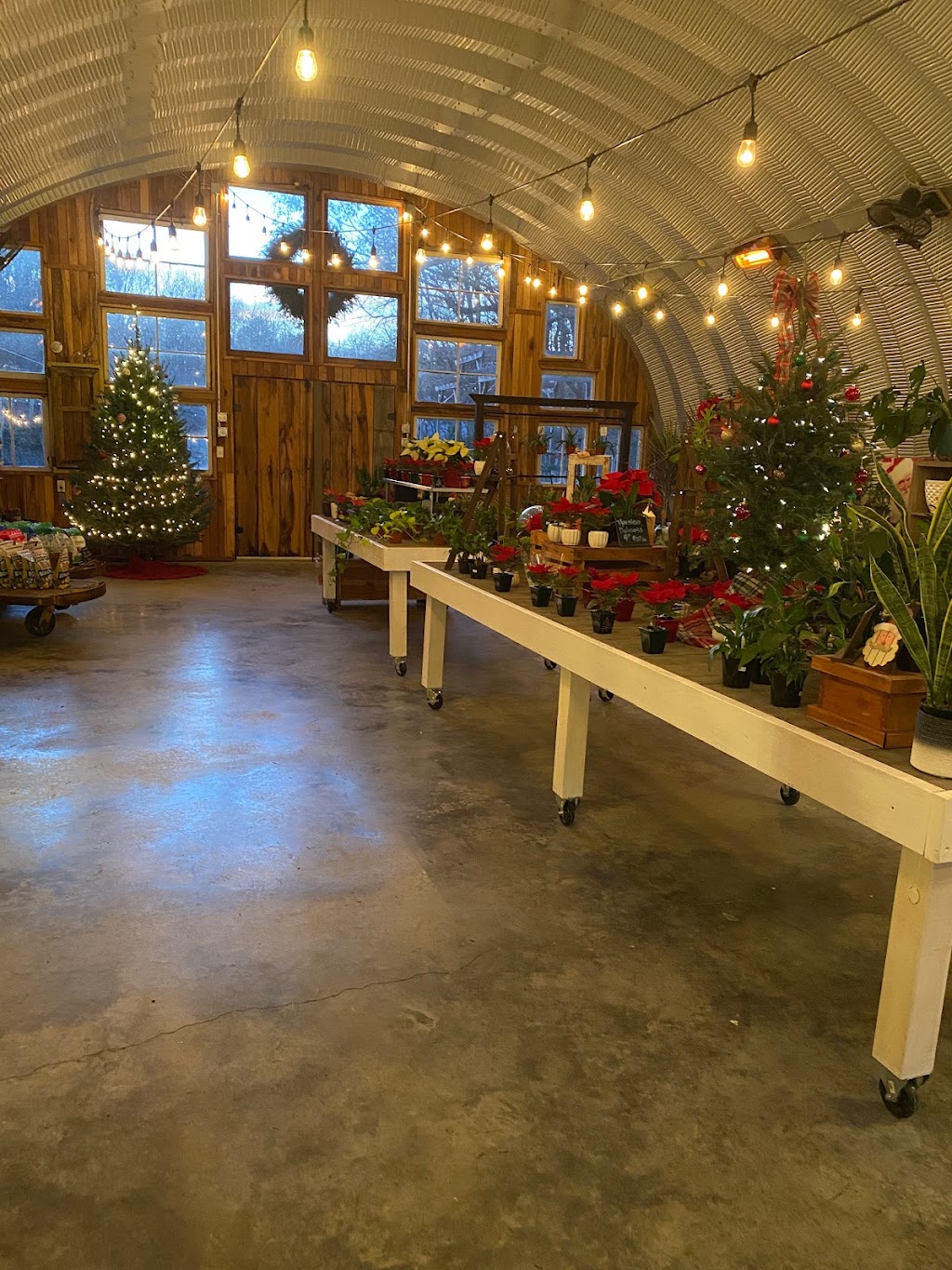 Thrive Garden Center | 1114 Hwy 70, Kingston Springs, TN 37082, USA | Phone: (615) 642-7031