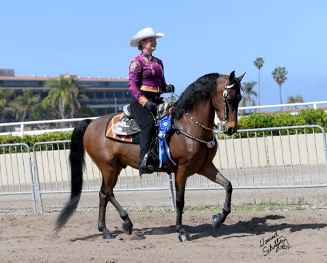 Miller Equestrian Services | 936 Vista Ave, Escondido, CA 92026, USA | Phone: (858) 945-1344