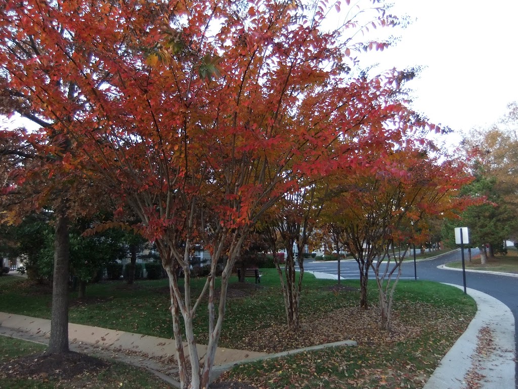 Buckingham Wood Association | 1401 Tannery Cir, Midlothian, VA 23113, USA | Phone: (804) 794-0800