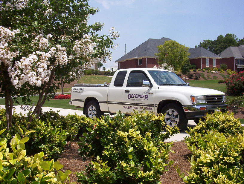 Defender Pest Protection | 6175 Hickory Flat Hwy #380, Canton, GA 30115, USA | Phone: (770) 592-5094