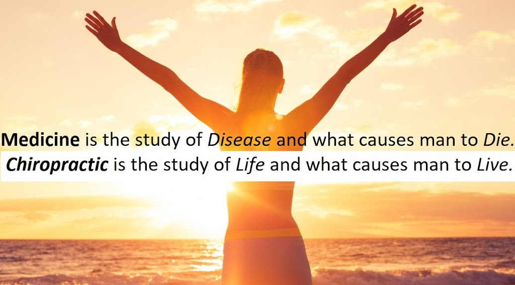 Coastal Chiropractic Dunedin | 2194 Main St g, Dunedin, FL 34698, USA | Phone: (727) 733-1601