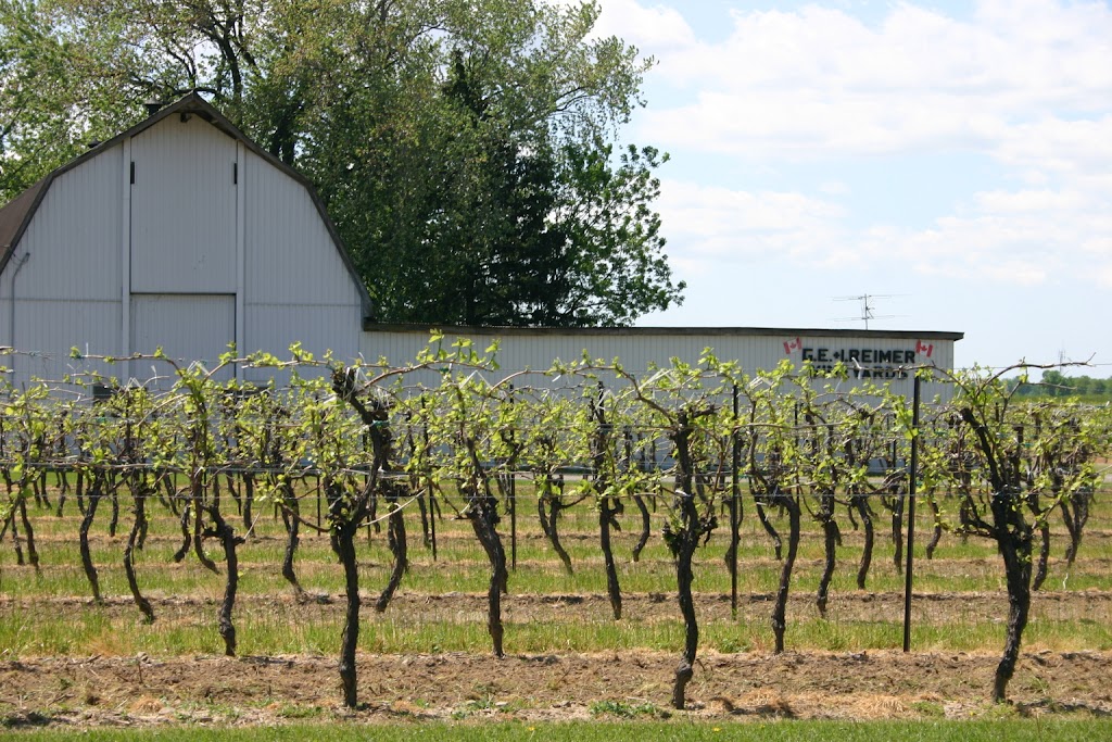 Reimer Vineyards Winery | 1289 Line 3 Rd, Niagara-on-the-Lake, ON L0S 1J0, Canada | Phone: (905) 468-9417